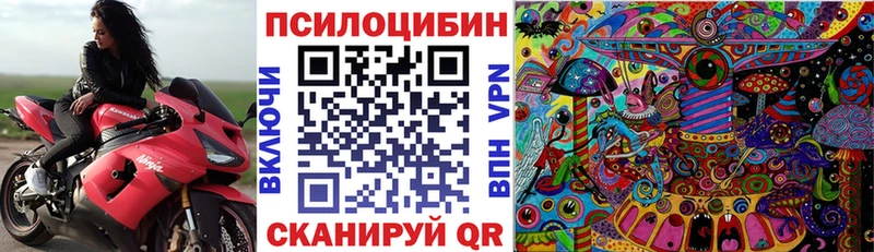 Псилоцибиновые грибы Psilocybine cubensis  купить наркотик  Цимлянск 